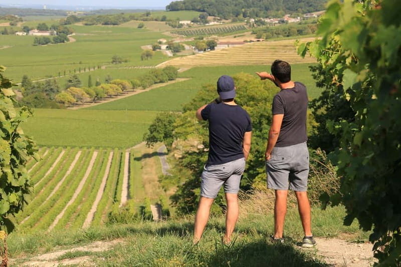 Cognac: Discover the vineyards in a 4x4 and enjoy a cocktail - The Itinerary in Detail