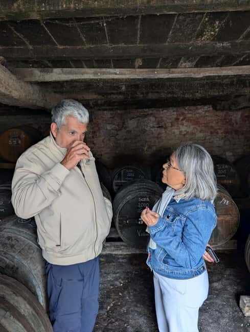 Cognac guided tour of the vineyard and visit/tasting at a winemaker's estate - Exploring the Itinerary and Experience