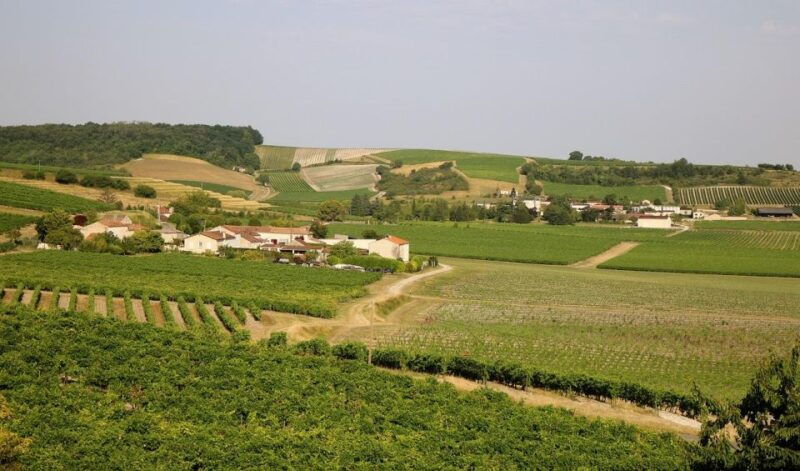 cognac-private-guided-walking-tour