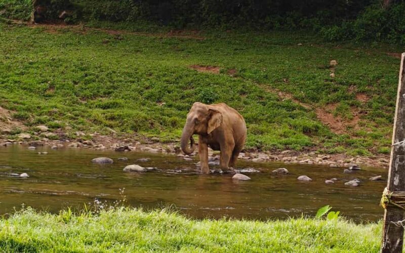 Coimbatore: Kerala Hills Day Trip with Jeep Safari & Lunch - Key Points