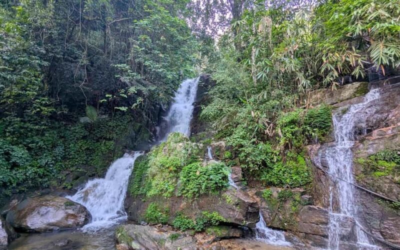 Coimbatore: Kerala Hills Day Trip with Jeep Safari & Lunch - What Reviewers Say