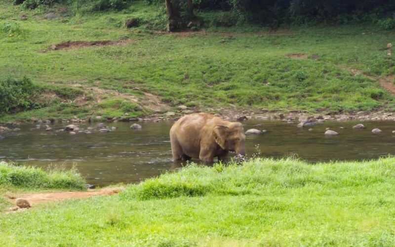 Coimbatore: Kerala Hills Day Trip with Jeep Safari & Lunch - The Sum Up