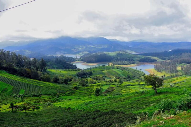 Coimbatore: Ooty Day Trip with Private Cab - Key Points