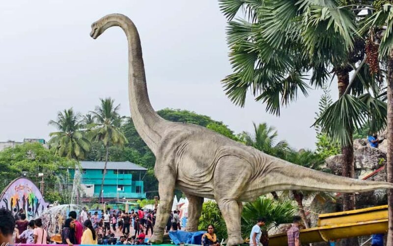 Coimbatore to Balakad Fantasy Park - Adventure & Water Fun - An In-Depth Look at the Fantasy Park Day Trip