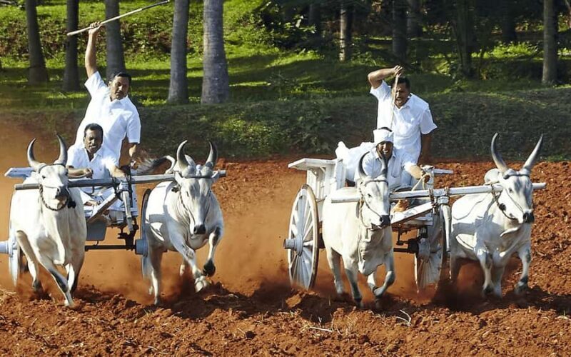 Coimbatore to Coconut Village Day Tour  Nature & Culture - Key Points