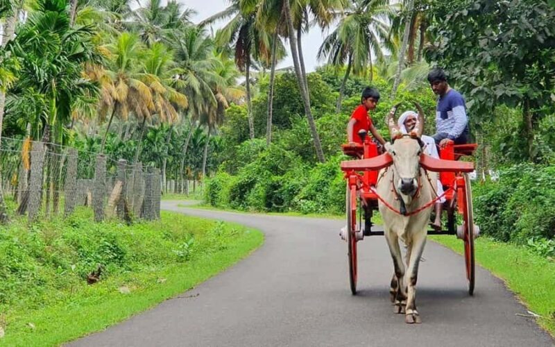 Coimbatore to Coconut Village Day Tour  Nature & Culture - An In-Depth Look at the Coimbatore to Coconut Village Day Tour