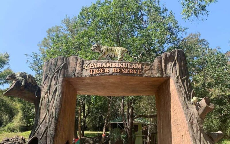 Coimbatore to Hill Station & Wildlife Safari 2-Days Tour - Final Thoughts: Who Is This Tour Perfect For?