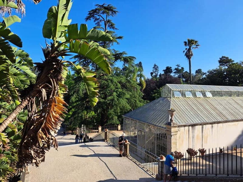 Coimbra: Adventure, Discovery & Learning with a Local - Practical Tips for Your Tour Experience