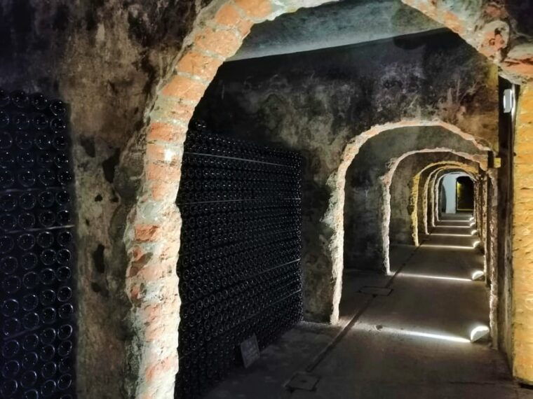 coimbra-bairrada-gastronomic-route-tour