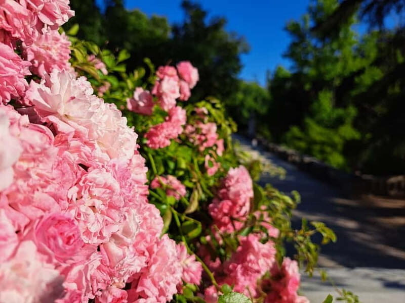 Coimbra Botanical Garden Tour: Storytelling Through Nature - Who Will Enjoy This Experience Most?