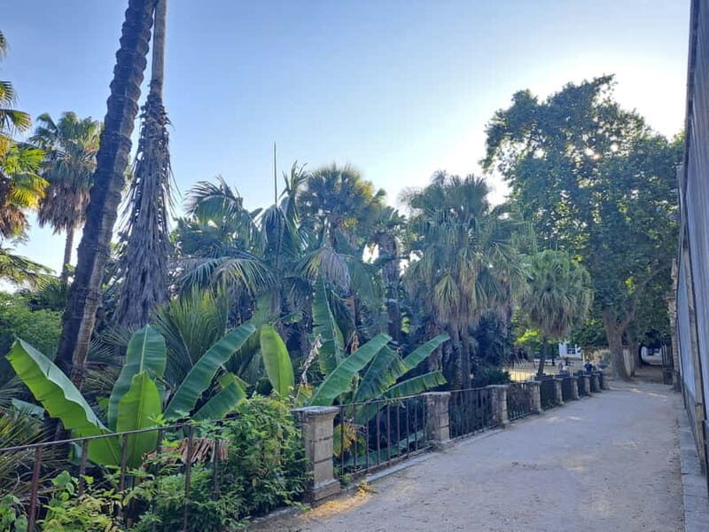 Coimbra Botanical Garden Tour: Storytelling Through Nature - Final Thoughts