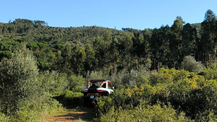 coimbra-condeixa-off-road-buggy-adventure-240min