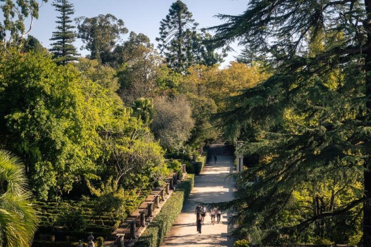 coimbra-flexible-walking-tour-in-historic-center