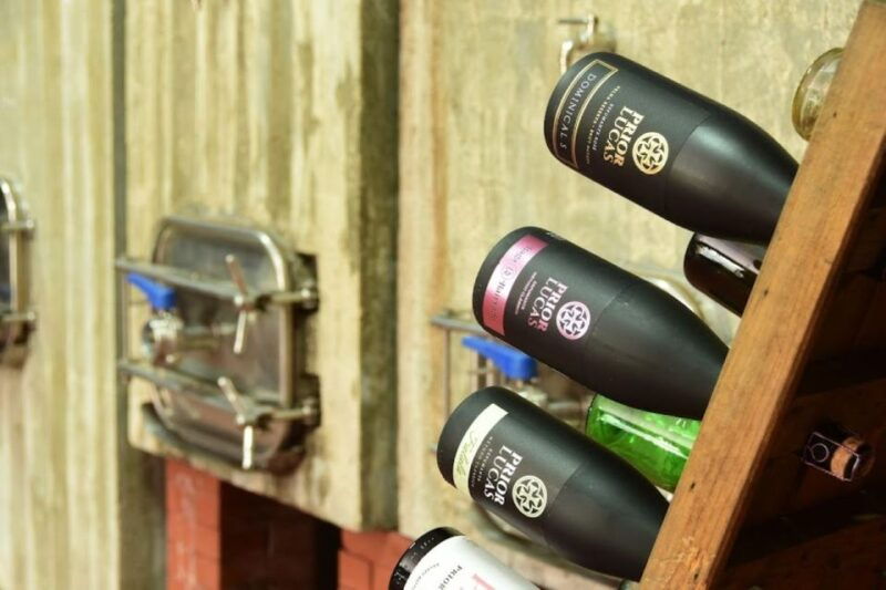 coimbra-prior-lucas-wine-experience