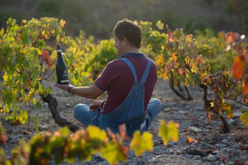 coimbra-prior-lucas-wine-experience