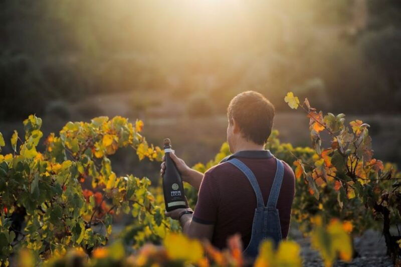 coimbra-prior-lucas-wine-experience