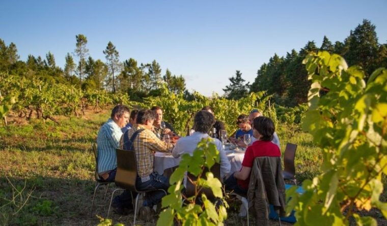 coimbra-prior-lucas-wine-experience