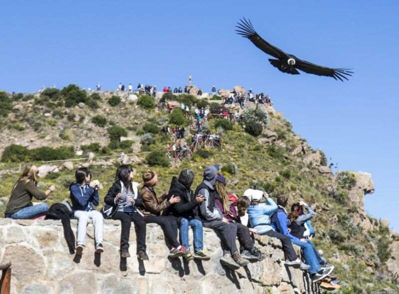 colca-canyon-2-day-tour-from-arequipa-to-puno