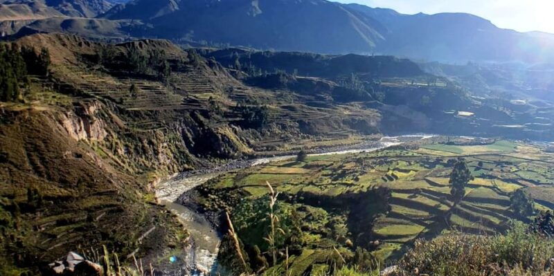 colca-canyon-full-day-tour-return-to-arequipa