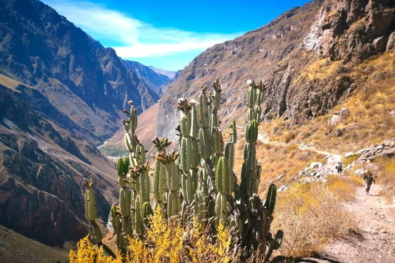 colca-canyon-full-day-tour-return-to-arequipa
