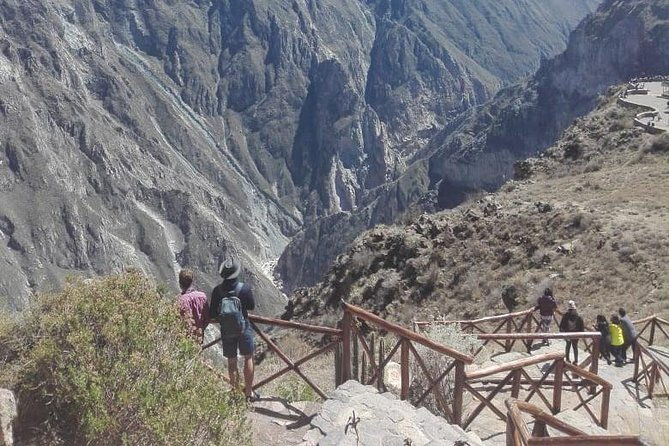 colca-canyon-sightseeing-tour-2d1n-and-transfer-to-puno