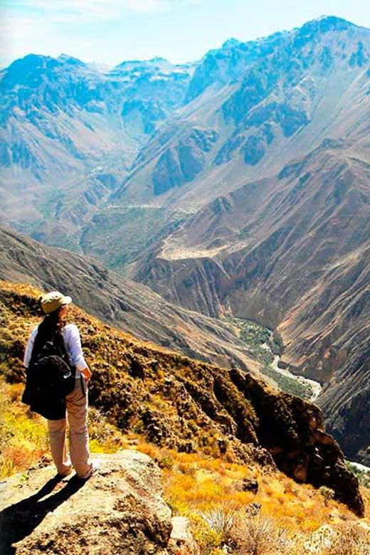 colca-canyon-tour-2-days-connection-puno