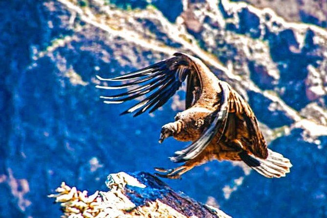 colca-full-day-3