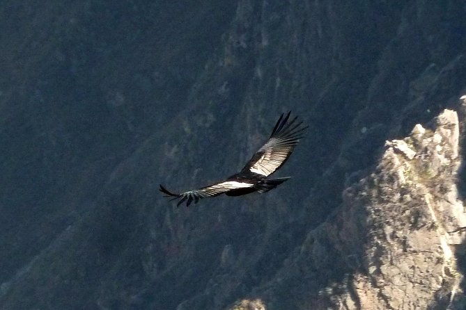 colca-trek-2-days-tour