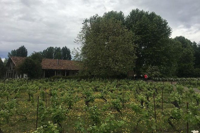 colchagua-valley