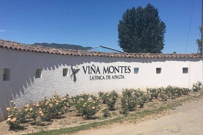 colchagua-valley