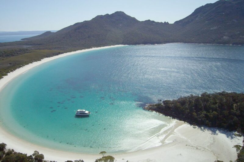 Coles Bay: Wineglass Bay Adults-Only Cruise with Lunch - Wildlife Encounters