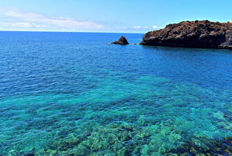 collective-adventure-travel-volunteer-in-tenerife