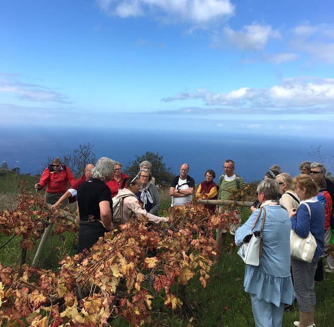 collective-adventure-travel-volunteer-in-tenerife