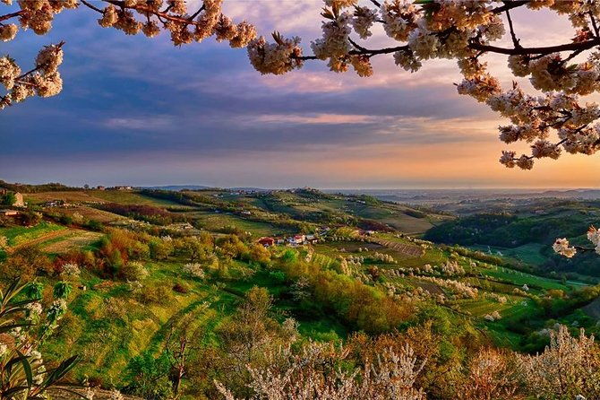 collio-cividale-del-friuli-and-wine-tastings-from-trieste-2