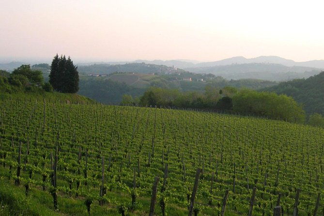 collio-cividale-del-friuli-and-wine-tastings-from-trieste