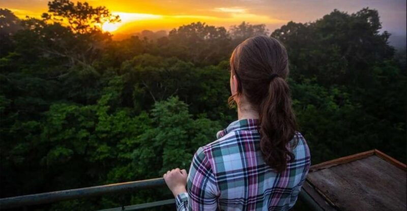 collpa-guacamayo-2d-excursion-jungle-sunset