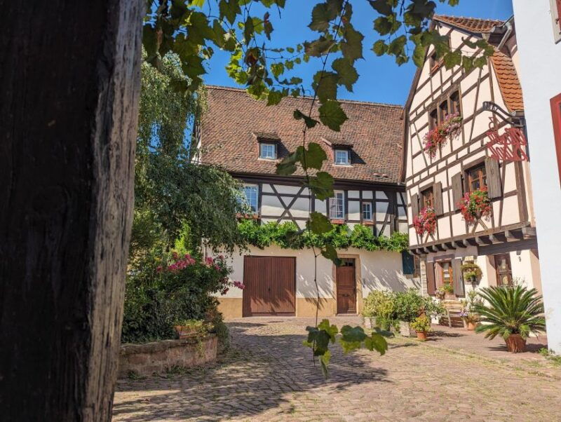 colmar-unusual-walking-tour-with-a-local-guide