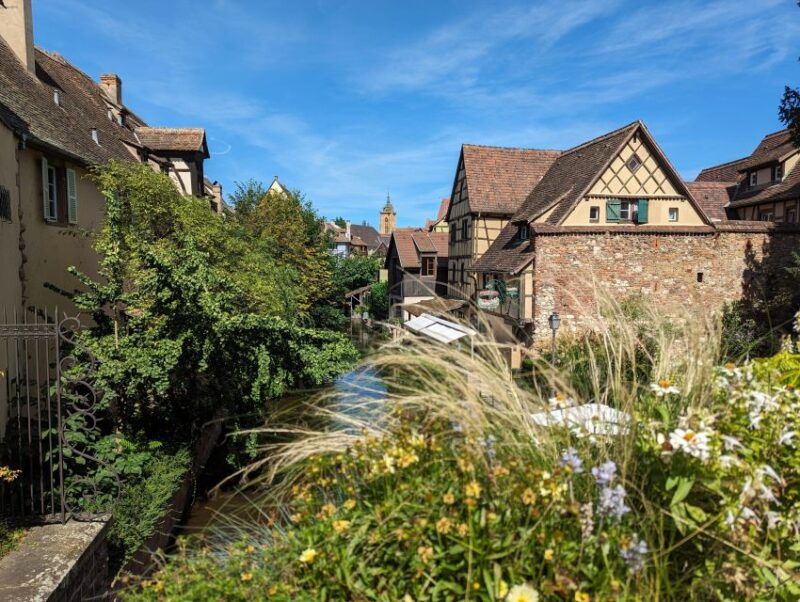 colmar-unusual-walking-tour-with-a-local-guide