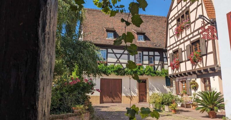 colmar-unusual-walking-tour-with-a-local-guide