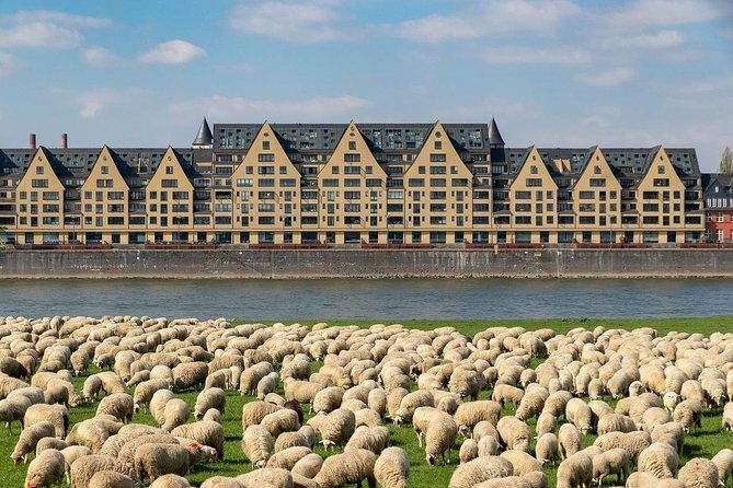 cologne-private-full-day-sightseeing-tour-from-amsterdam