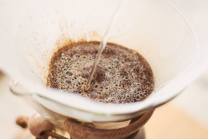 colombian-coffee-sensory-immersion-from-the-seed-to-the-cup