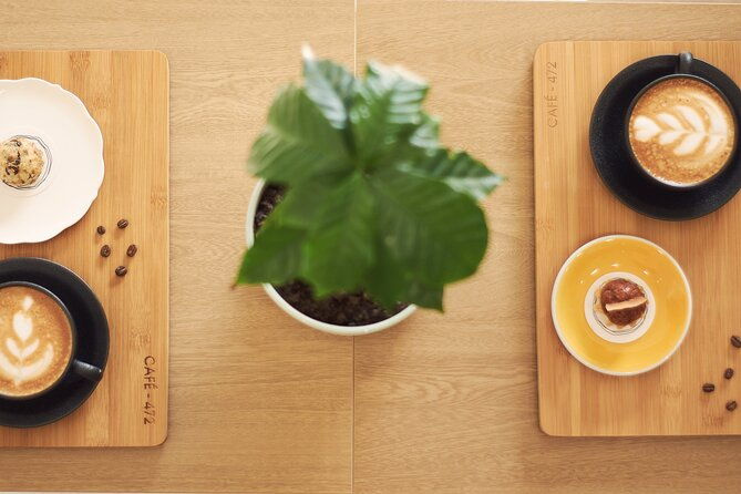 colombian-coffee-sensory-immersion-from-the-seed-to-the-cup