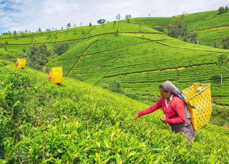 colombo-12-days-in-off-the-beaten-path-all-inclusive-tour