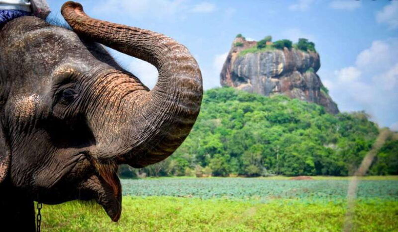 colombo-12-days-in-off-the-beaten-path-all-inclusive-tour
