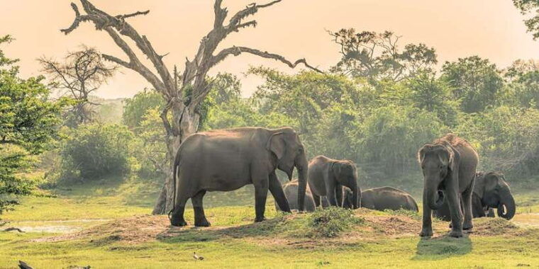 colombo-2-day-cultural-highlights-heritage-sites-tour