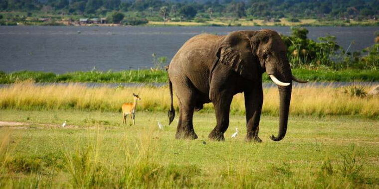 colombo-2-day-cultural-highlights-heritage-sites-tour