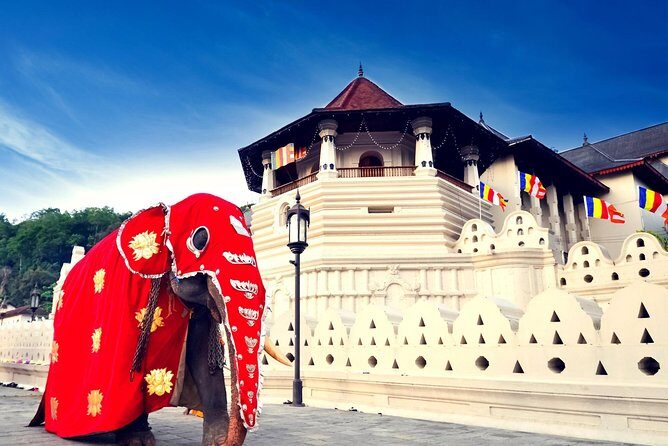 Colombo Airport to Kandy ( Private arrival transfer) - The Route and Scenic Highlights