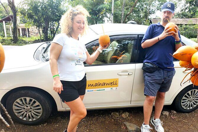 Colombo Airport to Sigiriya and Dambulla Shared Mini Van - The Practicality of the Colombo Airport to Sigiriya and Dambulla Transfer