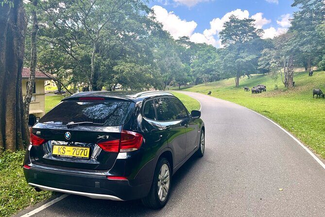 Colombo Airport to Sigiriya and Dambulla Shared Mini Van - Final Thoughts