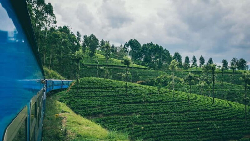 Colombo: All-Inclusive Scenic Train Journey To/From Ella - What Makes This Tour Special?